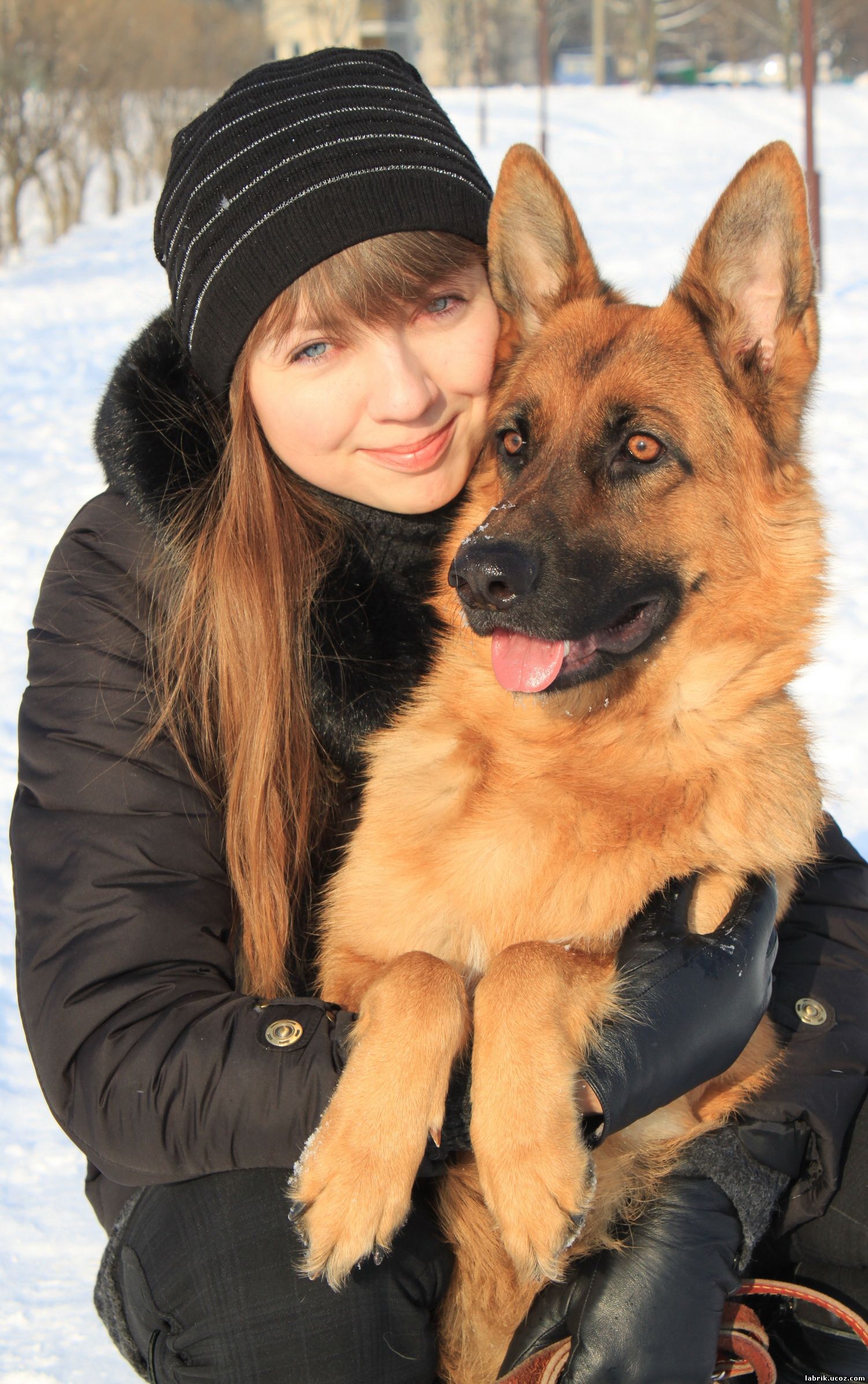 Лана